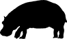 Hippo