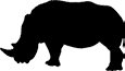 White Rhino