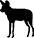 Wild Dog