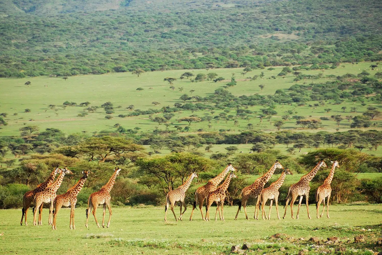 Arusha National Park  — photo 2
