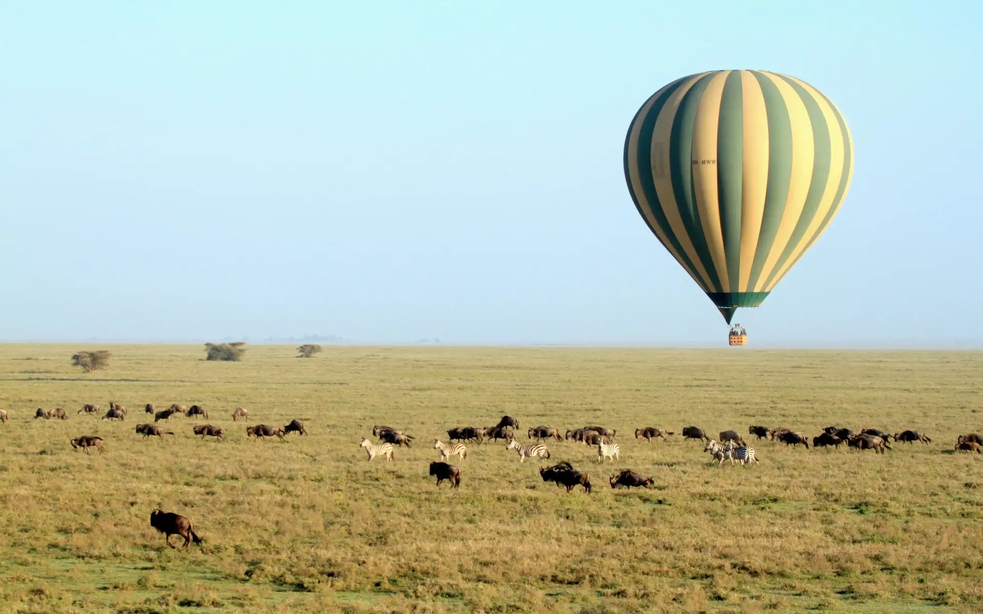 4 Days Tanzania Wildlife Tour Encounters into the Wild