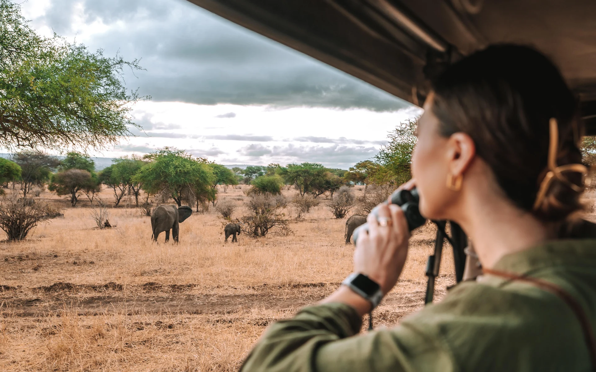 4 Days of Wildlife Wonders Your Ultimate Tanzania Safari